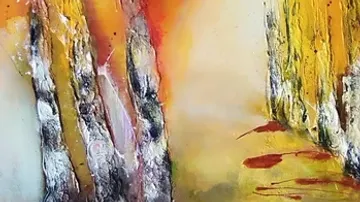 Bäume stehen im Fluss von orangefarbenem Licht und Schatten.